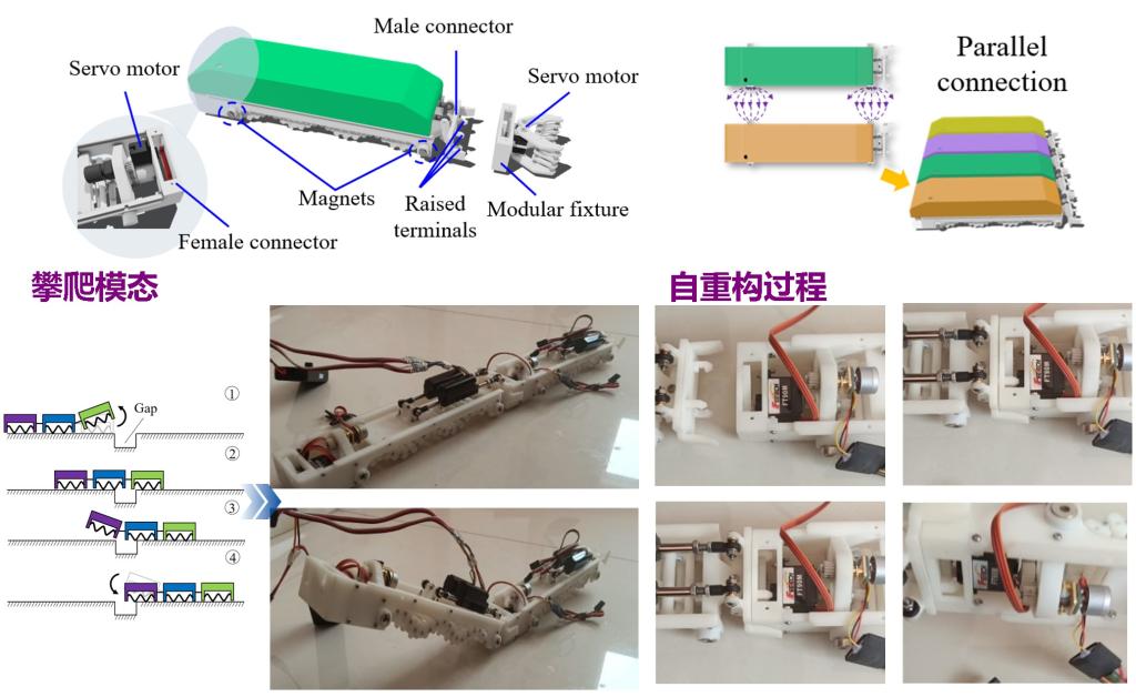 行波驱动自重构机器人